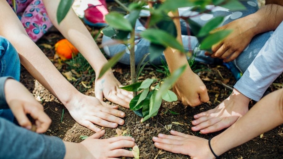 Giornata mondiale della terra - progetto sintesia